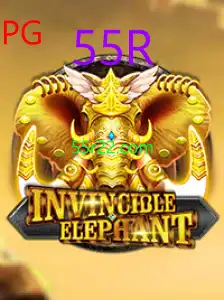 InvincibleElephant